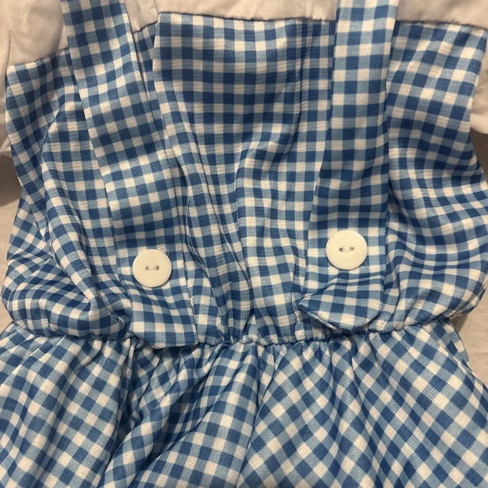 Rubie’s dorothy wizard
